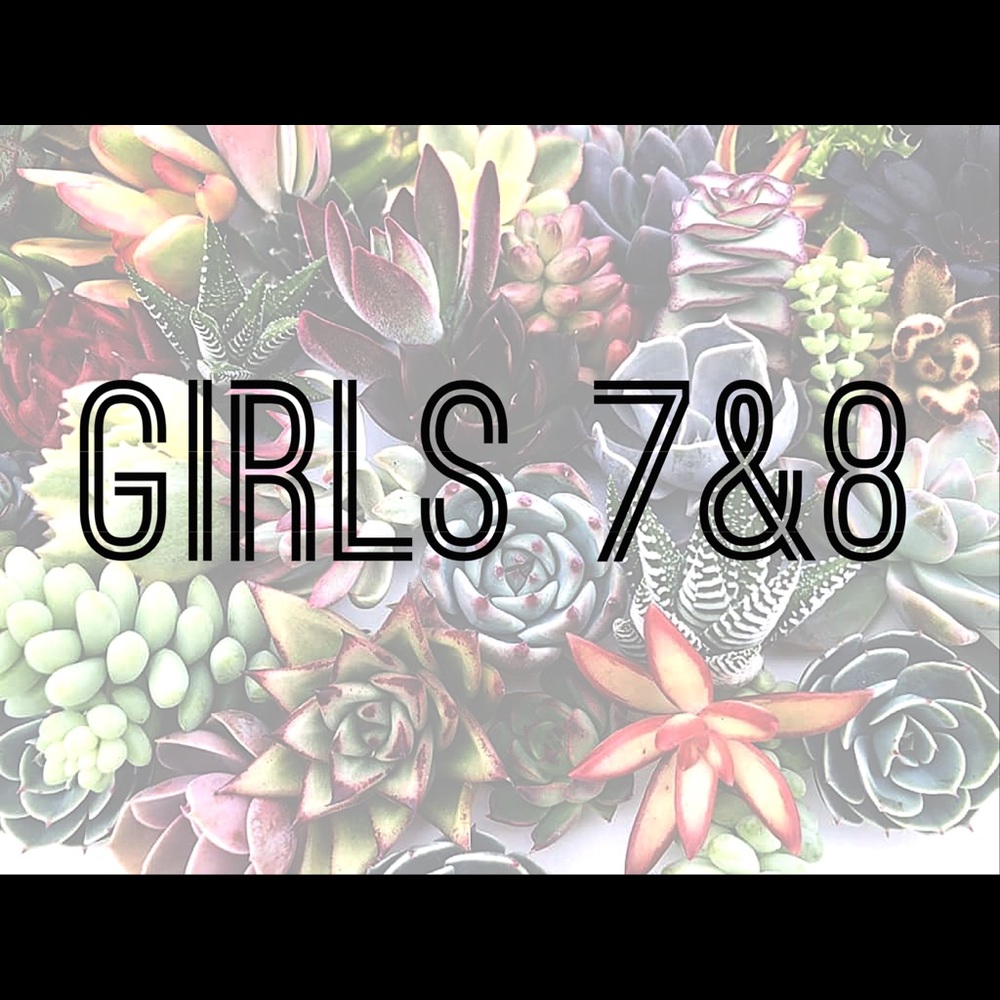 Girls clothes Sz 7-8